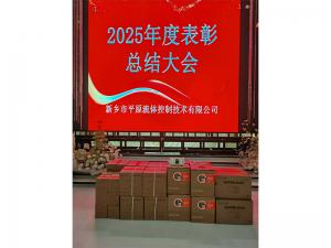 表彰先進(jìn)，禮贈(zèng)驚喜，共啟新程